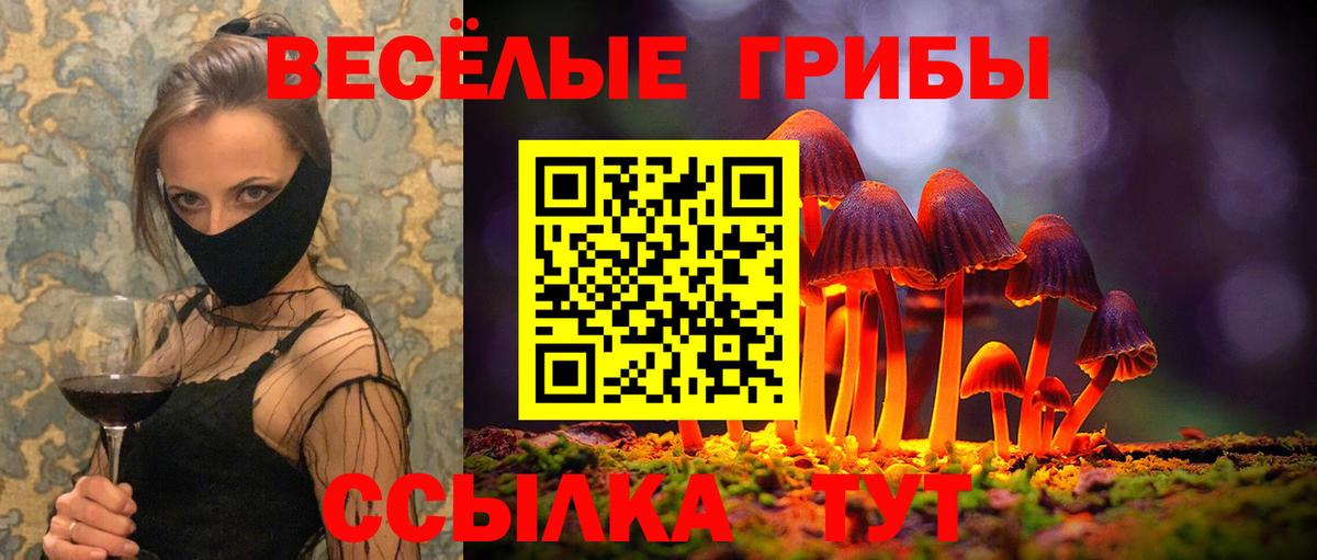 Псилоцибиновые грибы Psilocybe  Вход с VPN  Псилоцибиновые грибы GOLDEN TEACHER  Ивантеевка 